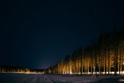 Road amidst trees against sky at night during winter
