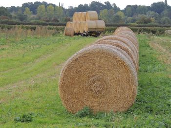 Hay bales on field