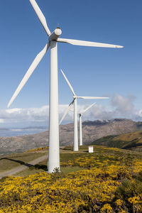 Windmills on landscape against sky