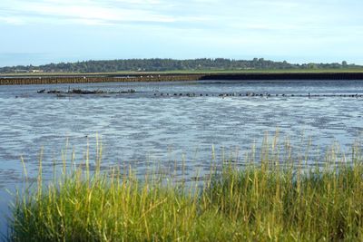 Scenic view of lake against sky