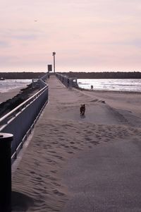 Scenic view of beach against sky during sunset