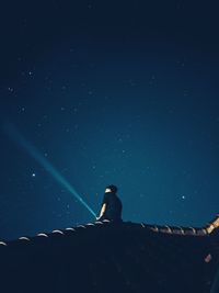 Low angle view of man sitting against sky at night