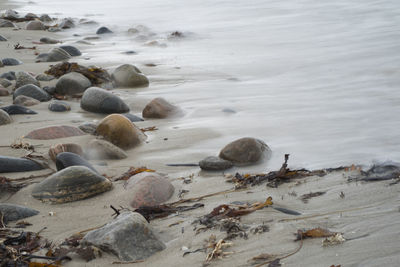 Rocks on beach