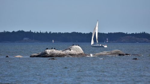 Scenic view of sea against clear sky