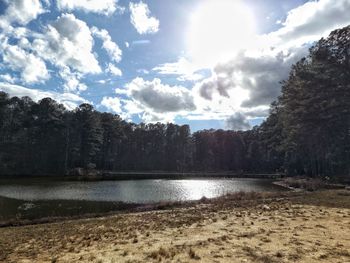 Scenic view of trees against sky