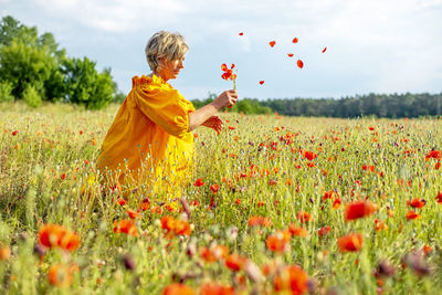 Poppy flowers on field against sky