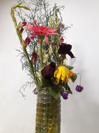 Close-up of multi colored flowers in vase