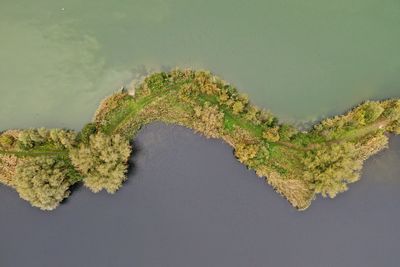 High angle view of plant against lake