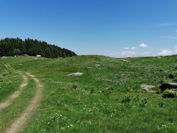 Scenic view of field against clear sky