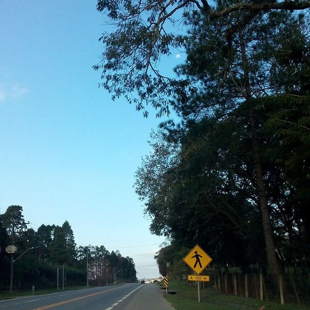 transportation, the way forward, tree, road, road marking, diminishing perspective, vanishing point, country road, clear sky, street, sky, car, empty road, land vehicle, blue, empty, road sign, mode of transport, double yellow line, nature