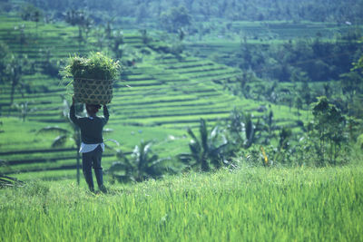 Rear view of woman walking on field