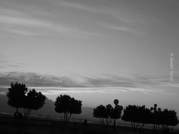 Silhouette palm trees on field against sky at sunset