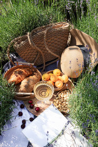 Summer picnic on a lavender field with champagne glasses, croissants, apricots and cherry berries