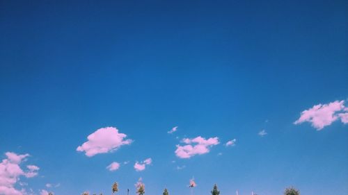 Low angle view of trees against blue sky