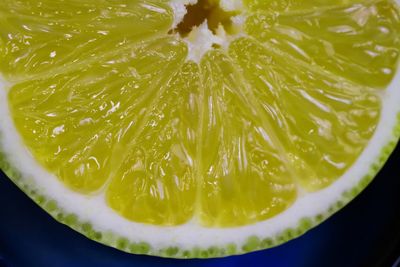 Close-up of lemon slice