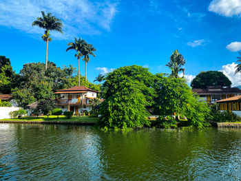 Palm trees by lake and building against sky