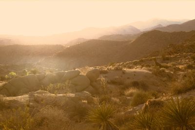 Scenic view of desert against sky