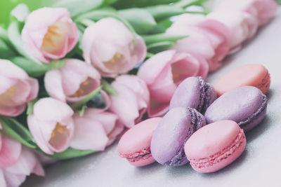 Close-up of pink flowers on table