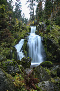 Scenic view of waterfall in forest