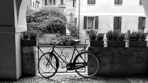 Bicycle parked by window