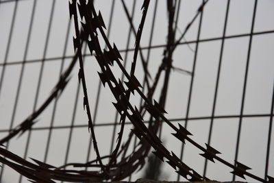 Low angle view of barbed wire against sky