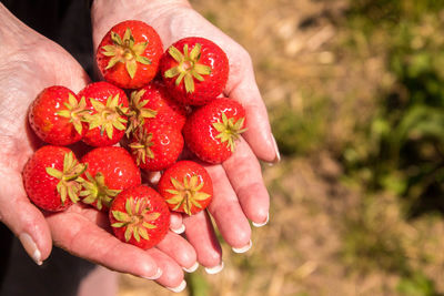 Close-up of hand holding strawberry