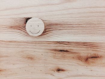 Close-up of wood on tree