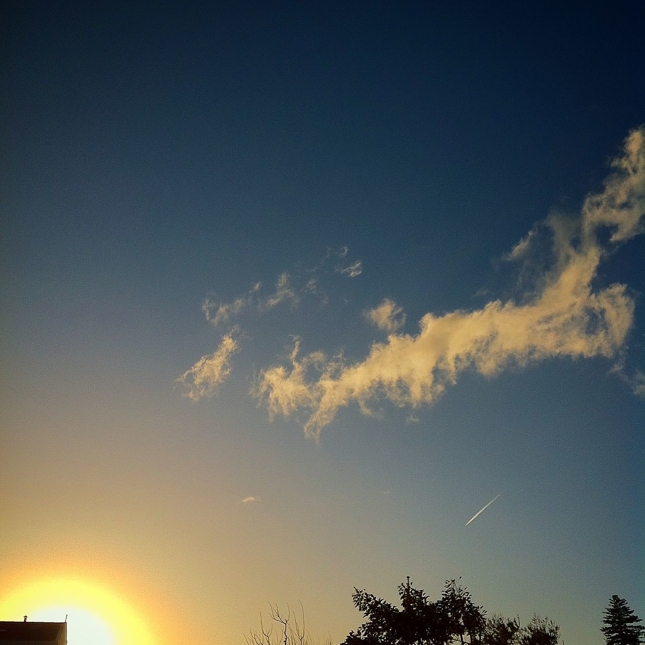 low angle view, silhouette, sky, beauty in nature, tree, scenics, sunset, nature, tranquility, high section, copy space, blue, cloud - sky, tranquil scene, dusk, outdoors, no people, idyllic, cloud, treetop