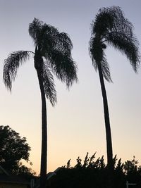 Low angle view of silhouette palm trees against clear sky