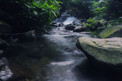 Water flowing through rocks in forest