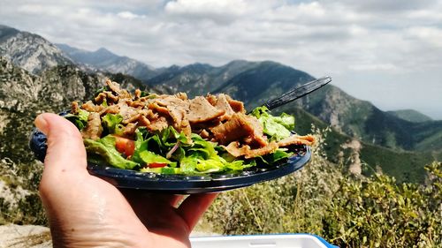 Food in plate against mountains