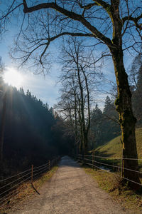 Road amidst trees and plants against sky