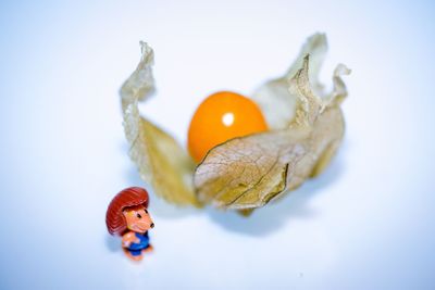 Close-up of stuffed toy over white background