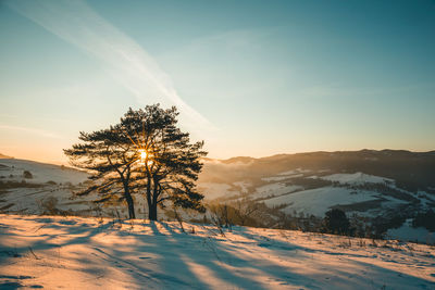 Scenic view of snowcapped mountain against sky during sunset