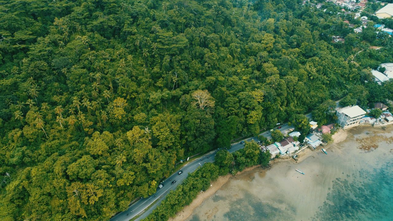 HIGH ANGLE VIEW OF SWIMMING POOL IN FOREST