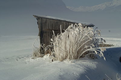 Houses on snow covered field