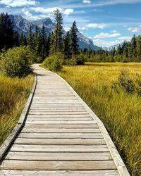 Boardwalk through grassy field