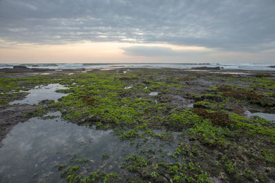 Scenic view of beach and sea against sky