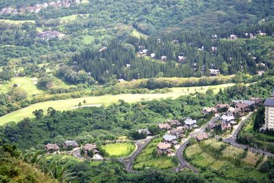 High angle view of trees and buildings on field