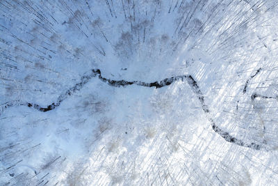 Full frame shot of snow covered forest during winter