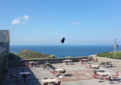 Scenic view of sea against blue sky