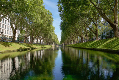 Panoramic view of lake amidst trees against sky