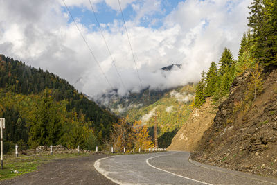 Road by trees against sky