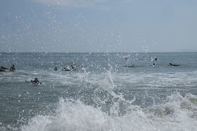 View of ducks swimming in sea