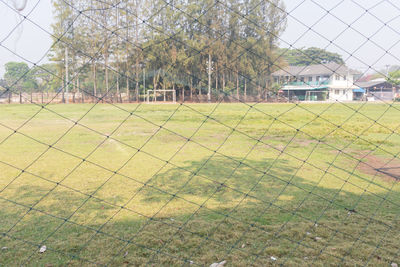 Trees and plants on field