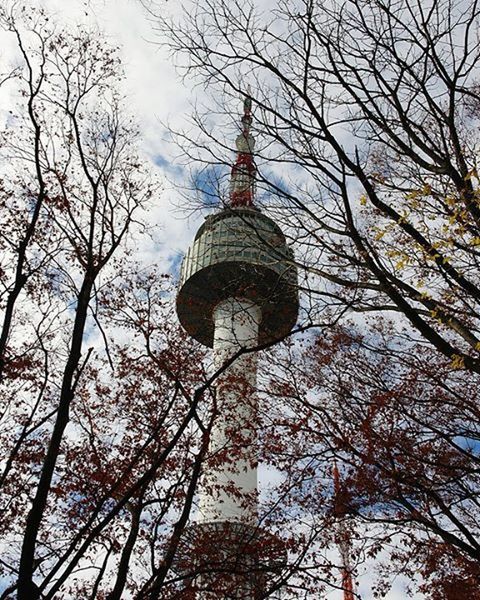 architecture, built structure, tower, building exterior, low angle view, tree, famous place, bare tree, communications tower, tall - high, travel destinations, international landmark, tourism, spire, branch, capital cities, sky, travel, city, dome