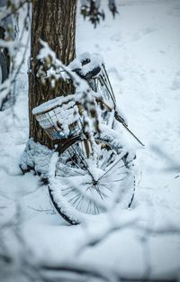 Snow covered tree