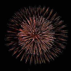 Low angle view of firework display