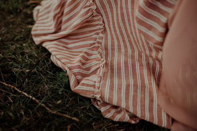 Low section of woman sitting on field