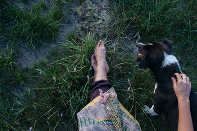 Low section of woman with dog on grassy field